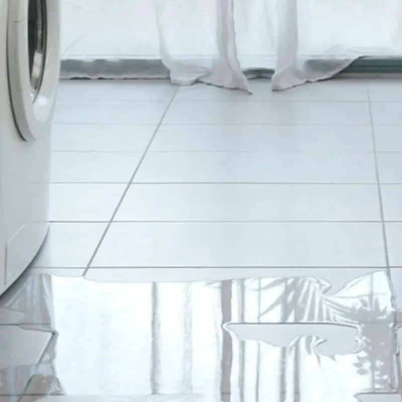 Appliance Leak Cleanup in Hugo, MN