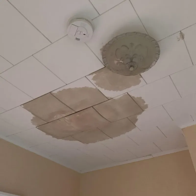 Ceiling Water Damage Repair in Hugo, MN