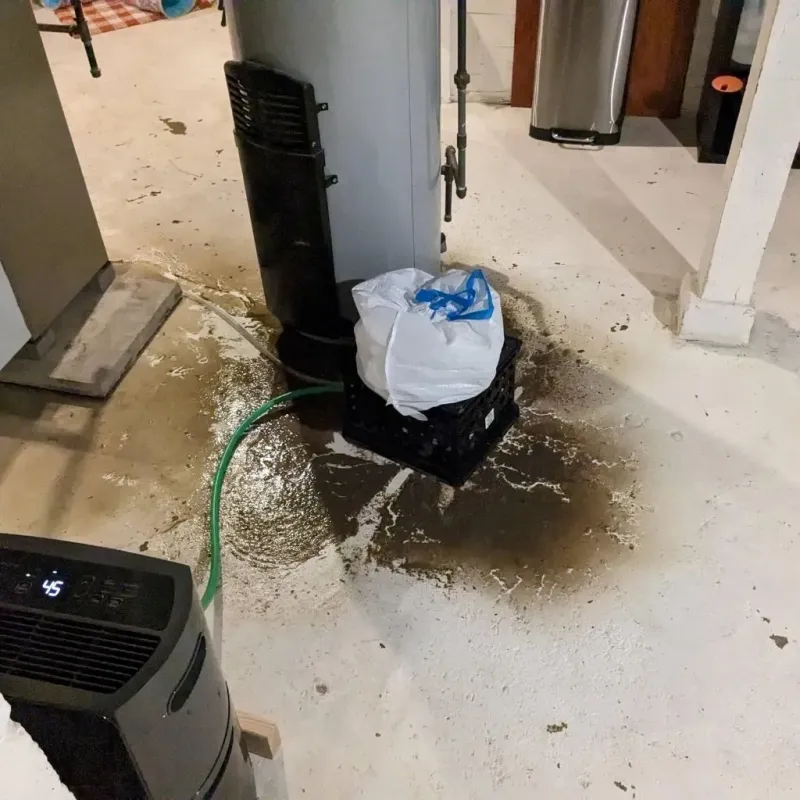 Sewage Backup Cleanup Service in Hugo, MN